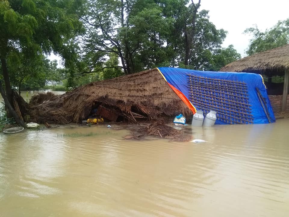 बाढीको कारणले प्रदेश २ मा १४ जनाको मृत्यु , कयो बेपत्ता