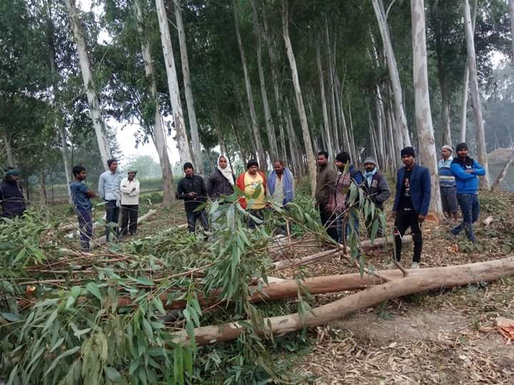 सत्ताको आडमा मेयर बरबरिया र वडाध्यक्ष मण्डल सार्वजनिक सम्पत्ति हत्याउदै