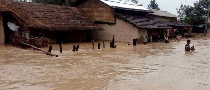 बाढी गाउँमा पसेपछि कैलालीमा एक सय बढी घर डुबानमा