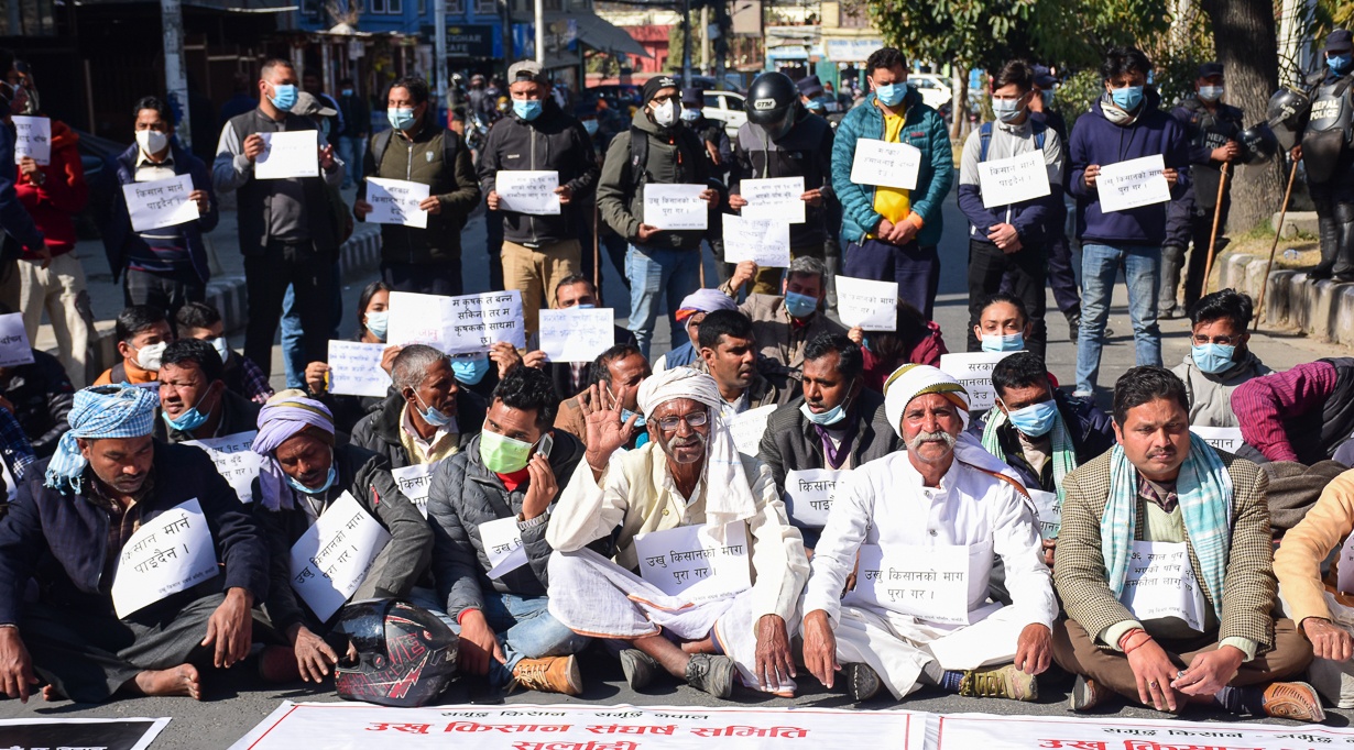उखु किसानको अडान: सरकारले भुक्तानी दिलाउने जिम्मा नलिएसम्म आन्दोलन रोकिन्न