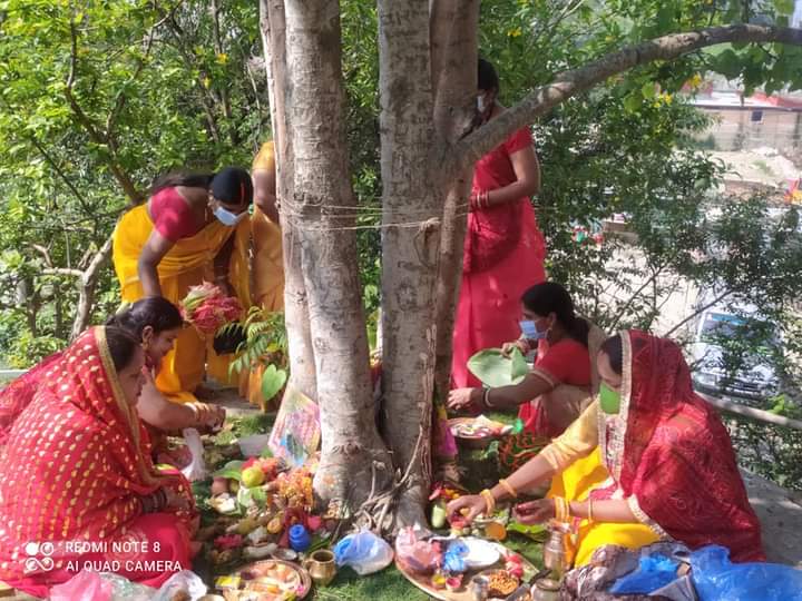 जनकपुरमा पतिको दीर्घायुका लागि बटसावित्री पर्व मनाइँदै