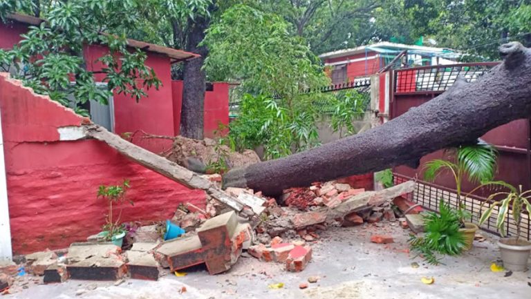 मधेश भवनभित्र रुख खस्दा पर्खाल भत्कियो, विद्युत अवरुद्ध