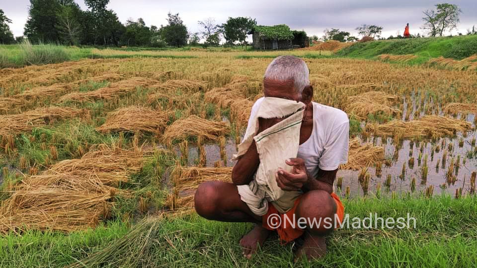 मधेशका किसानका आँखामा आँशु