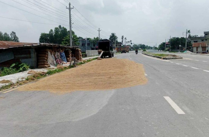 सडकमा धान सुकाउँदै