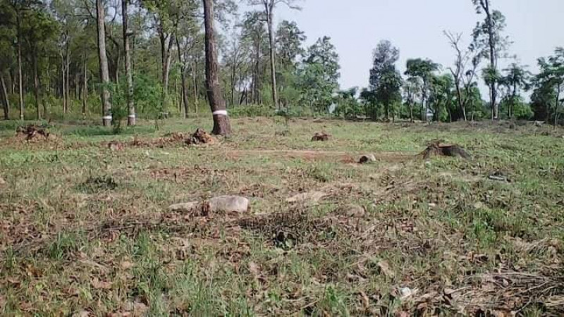 सामुदायिक वन अतिक्रमण गर्ने तीन जना पक्राउ