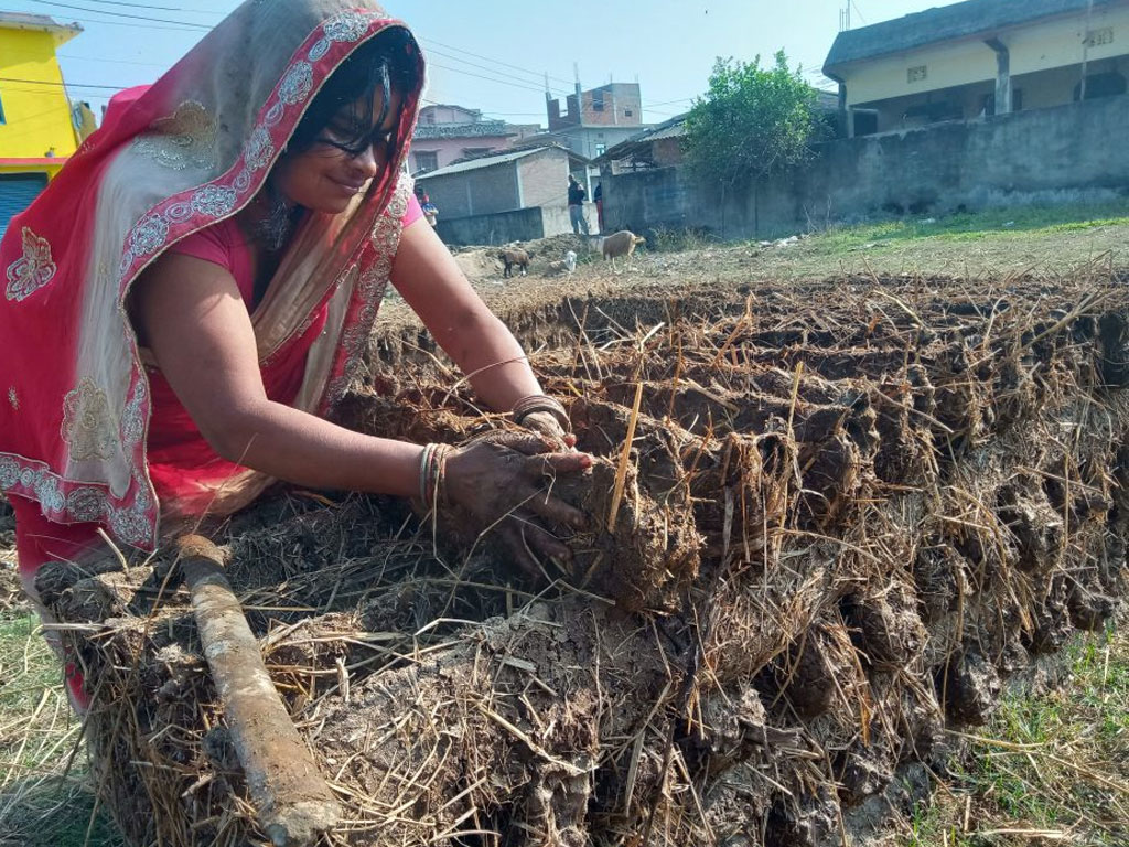 प्रचण्ड गर्मीमा ‘गुइँठा’ बनाउँदै महोत्तरीका गृहिणी